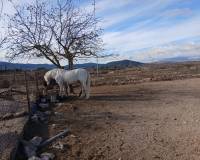 Wederverkoop - Equestrian property -  - Monovar