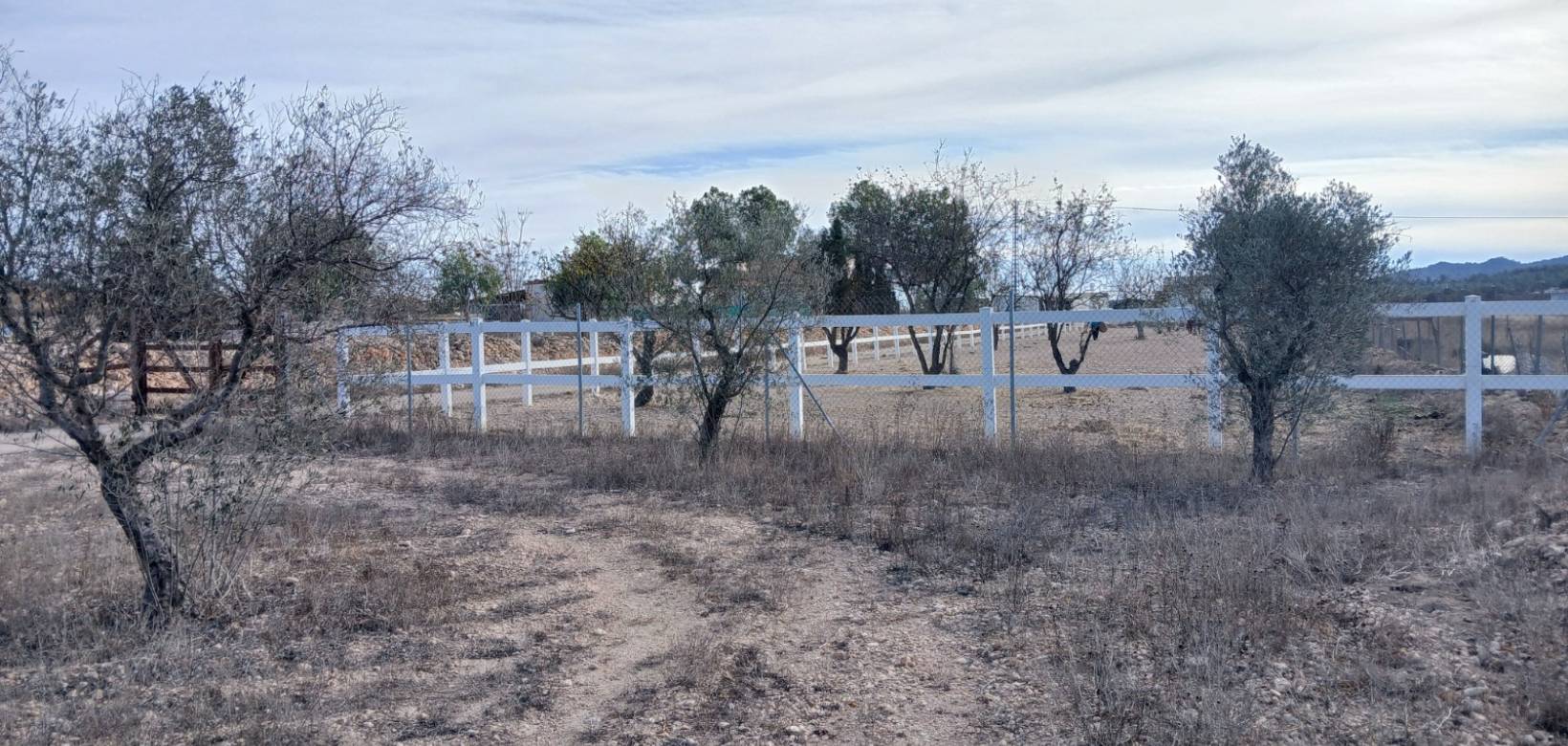 Wederverkoop - Equestrian property -  - Monovar