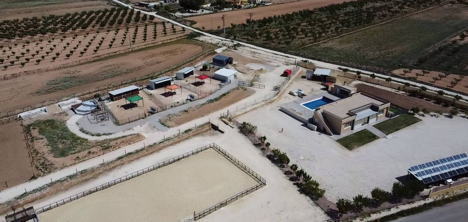 Wederverkoop - Estate - Pinoso - 