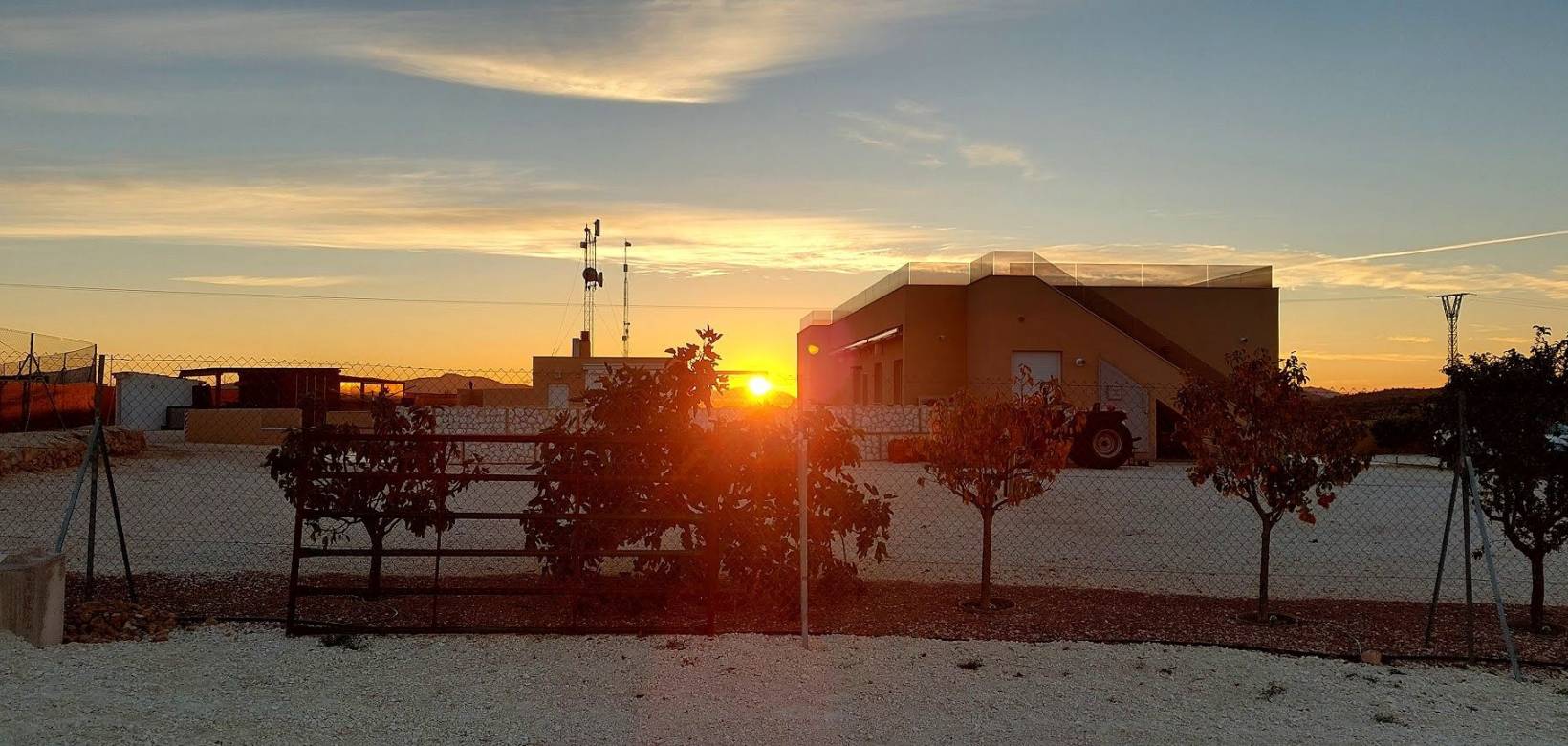 Wederverkoop - Estate - Pinoso - 