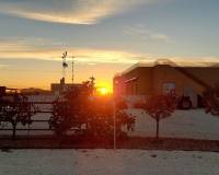 Wederverkoop - Estate - Pinoso - 