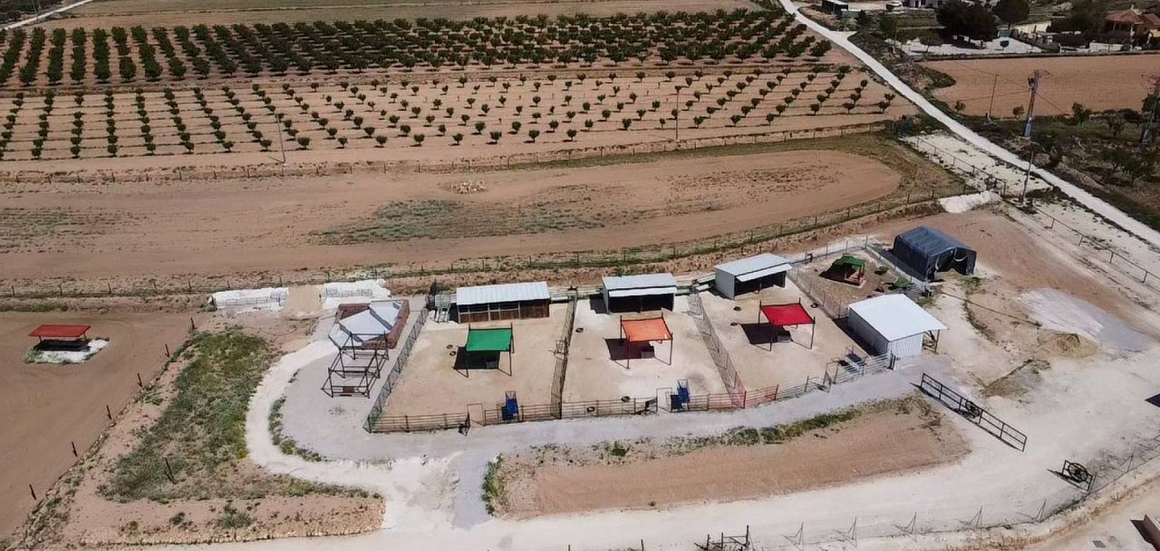 Wederverkoop - Estate - Pinoso - 