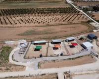 Wederverkoop - Estate - Pinoso - 