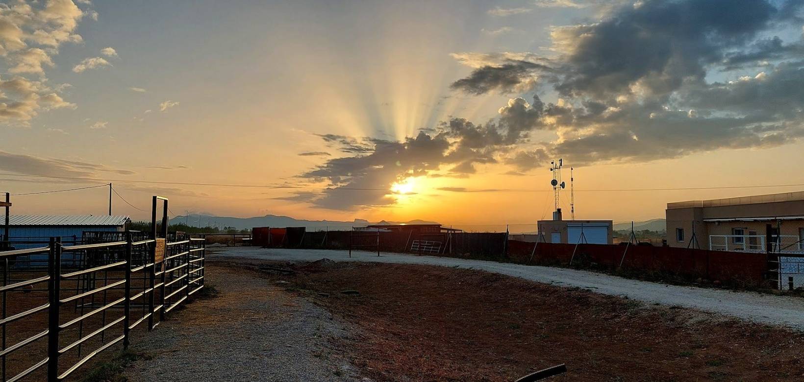 Wederverkoop - Estate - Pinoso - 