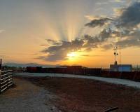 Wederverkoop - Estate - Pinoso - 