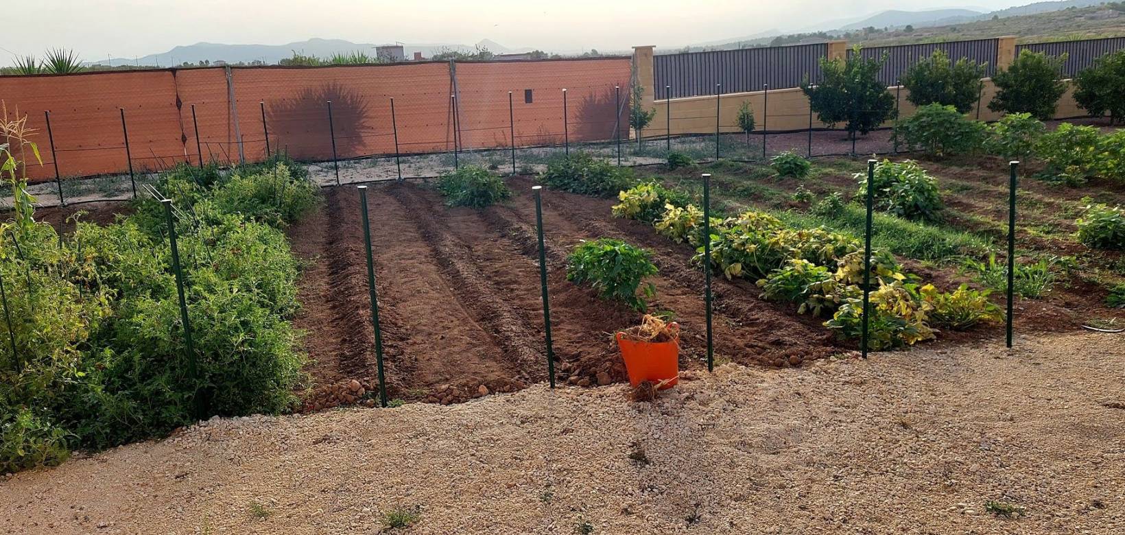 Wederverkoop - Estate - Pinoso - 