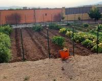 Wederverkoop - Estate - Pinoso - 