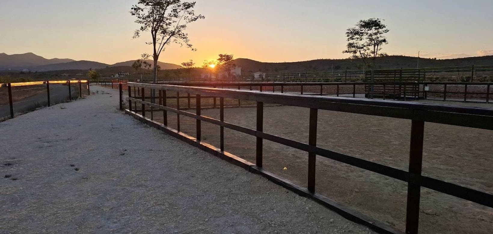 Wederverkoop - Estate - Pinoso - 