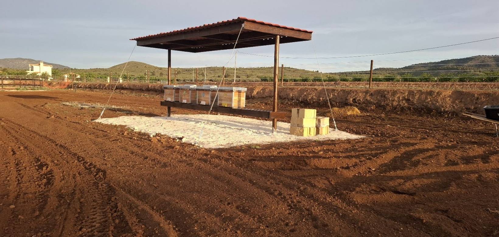 Wederverkoop - Estate - Pinoso - 