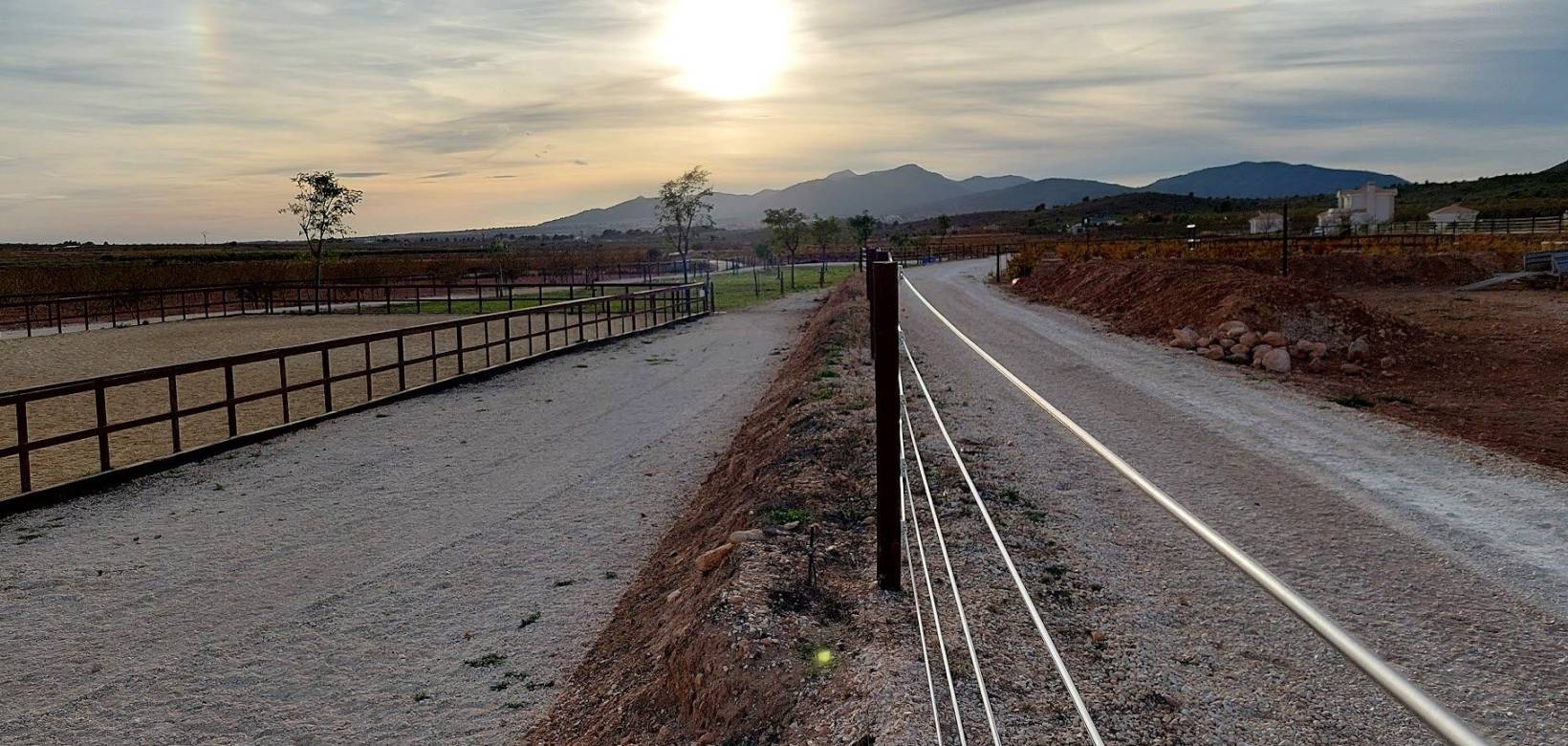 Wederverkoop - Estate - Pinoso - 