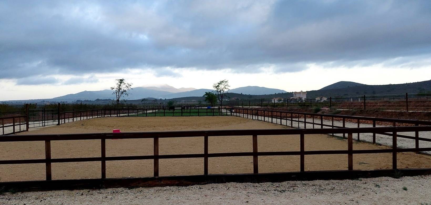 Wederverkoop - Estate - Pinoso - 