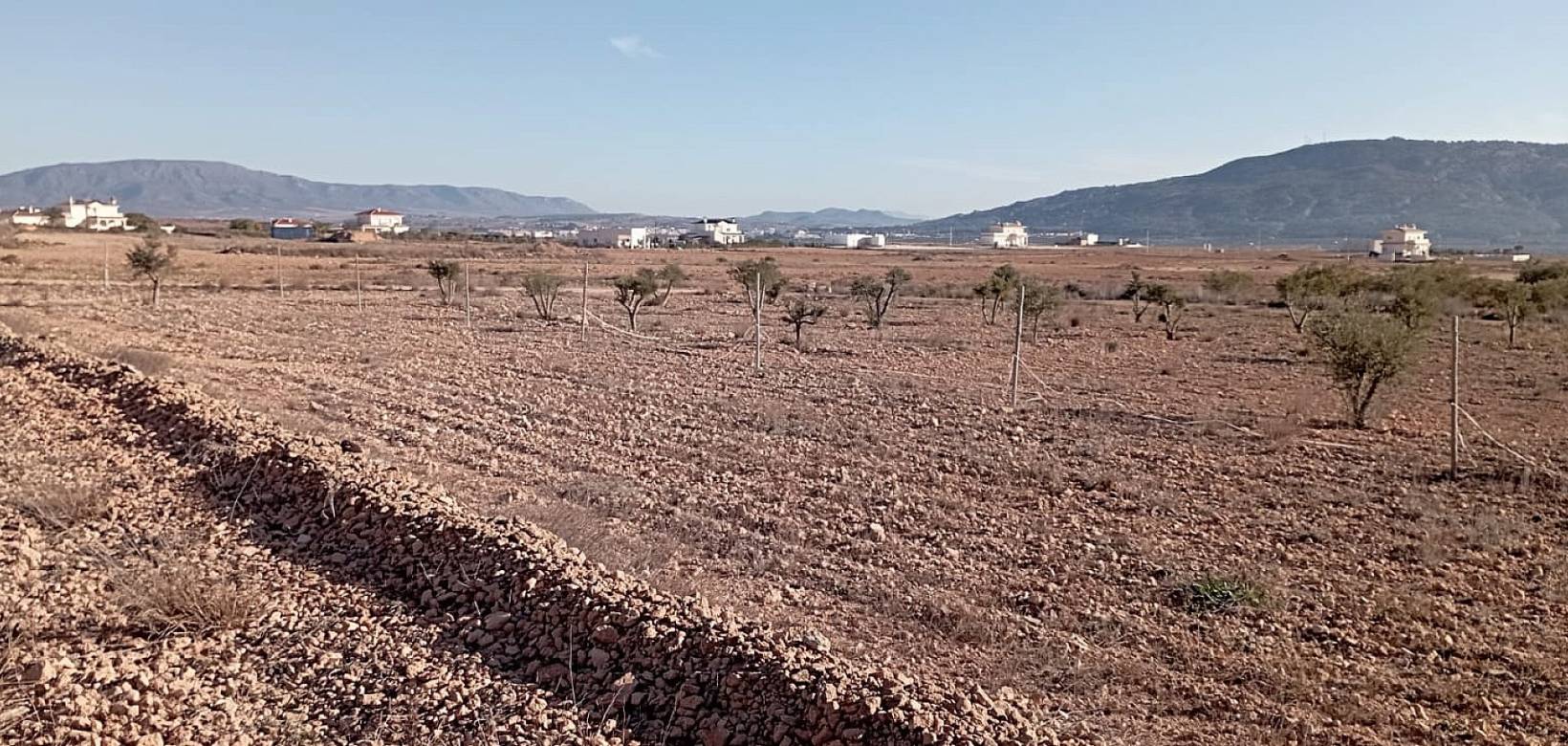 Wederverkoop - Finca - Pinoso - 