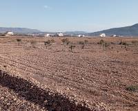 Wederverkoop - Finca - Pinoso - 