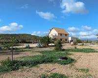 Wederverkoop - Finca - Pinoso - 