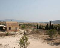 Wederverkoop - Finca - Pinoso - 