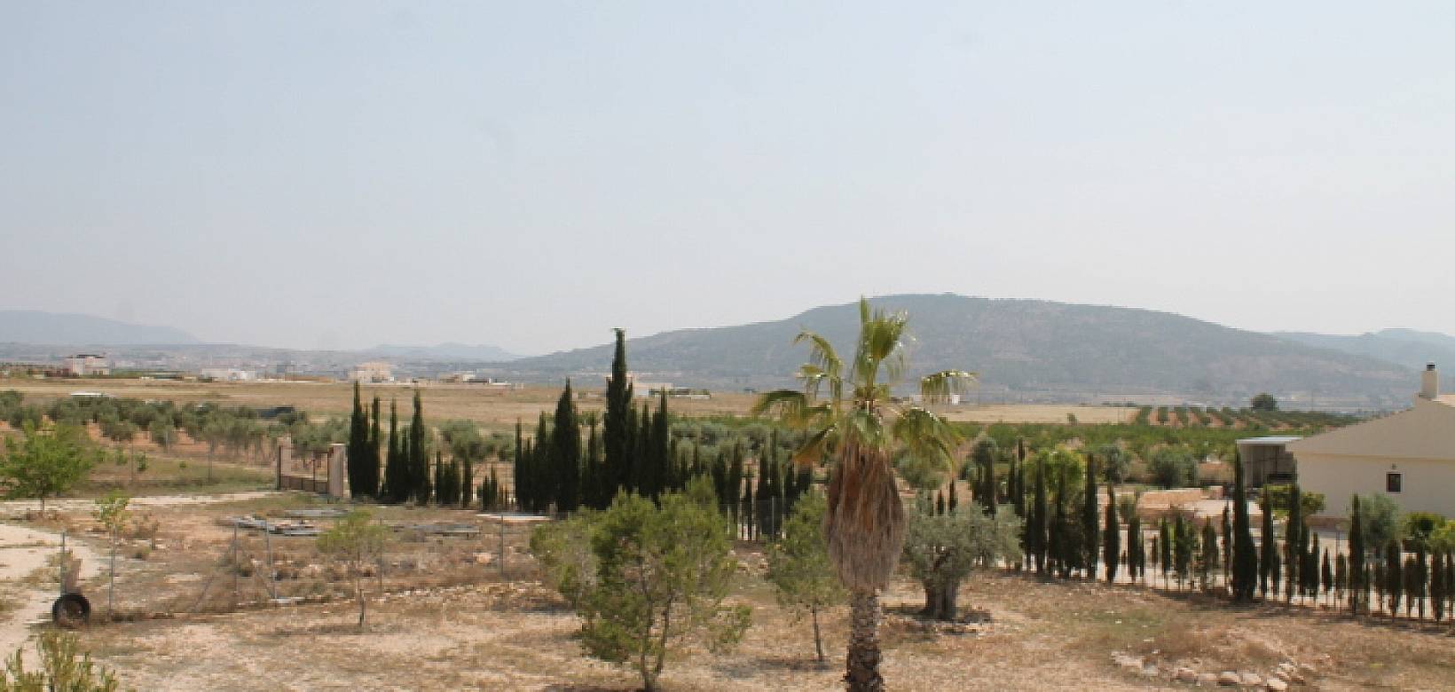 Wederverkoop - Finca - Pinoso - 