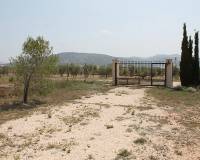 Wederverkoop - Finca - Pinoso - 