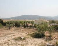 Wederverkoop - Finca - Pinoso - 