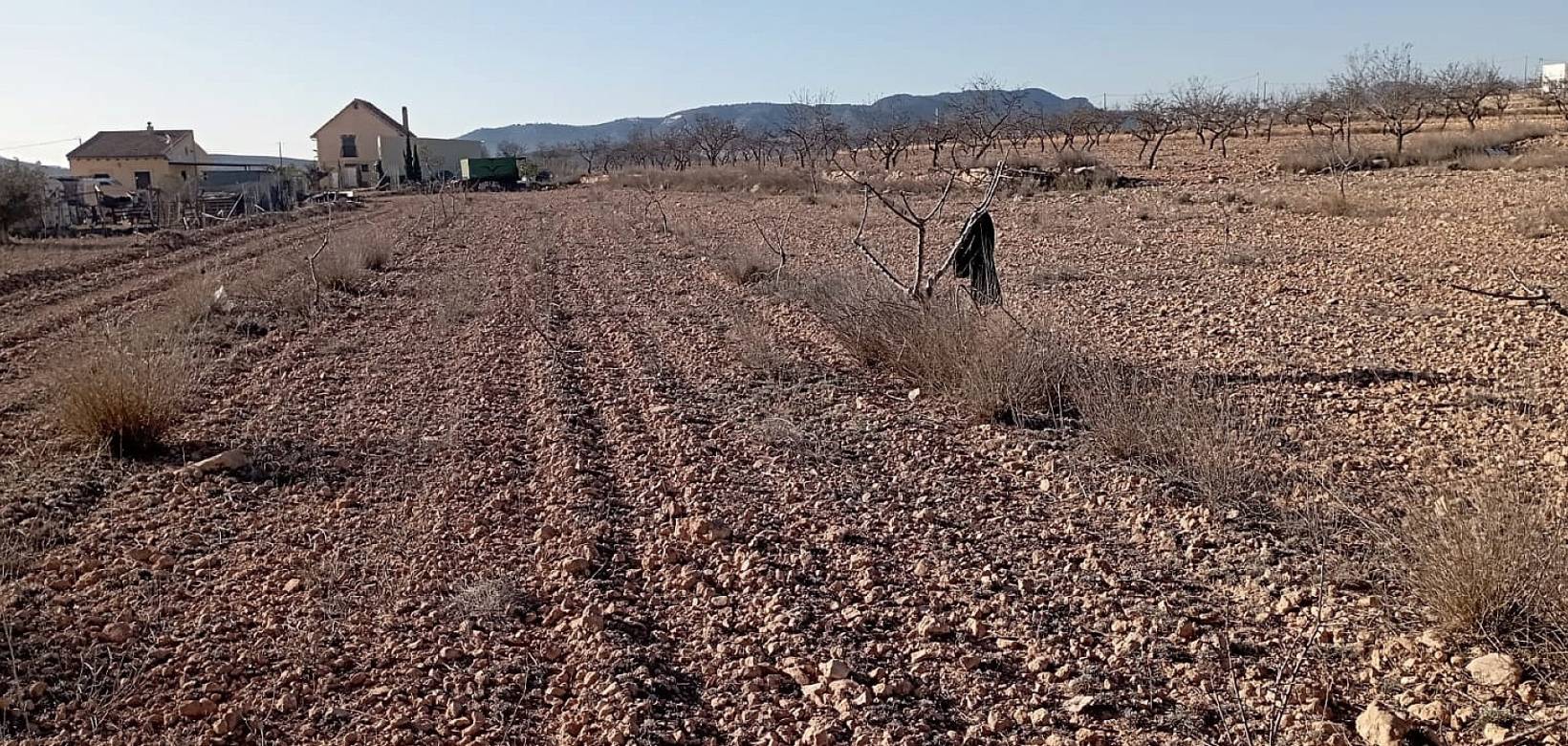 Wederverkoop - Finca - Pinoso - 