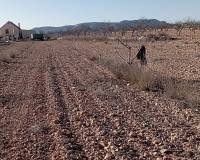 Wederverkoop - Finca - Pinoso - 