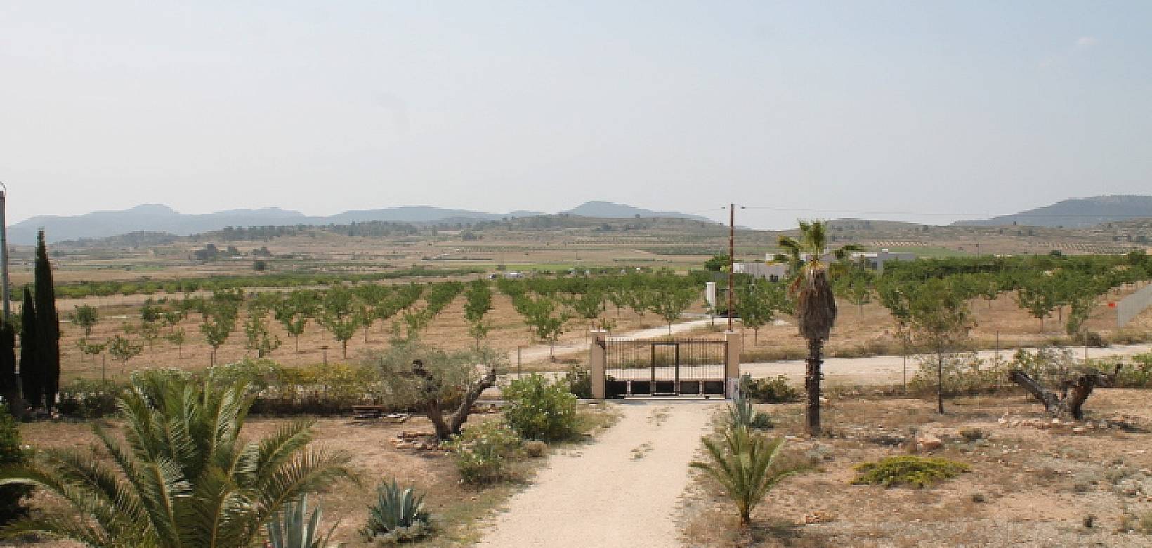 Wederverkoop - Finca - Pinoso - 