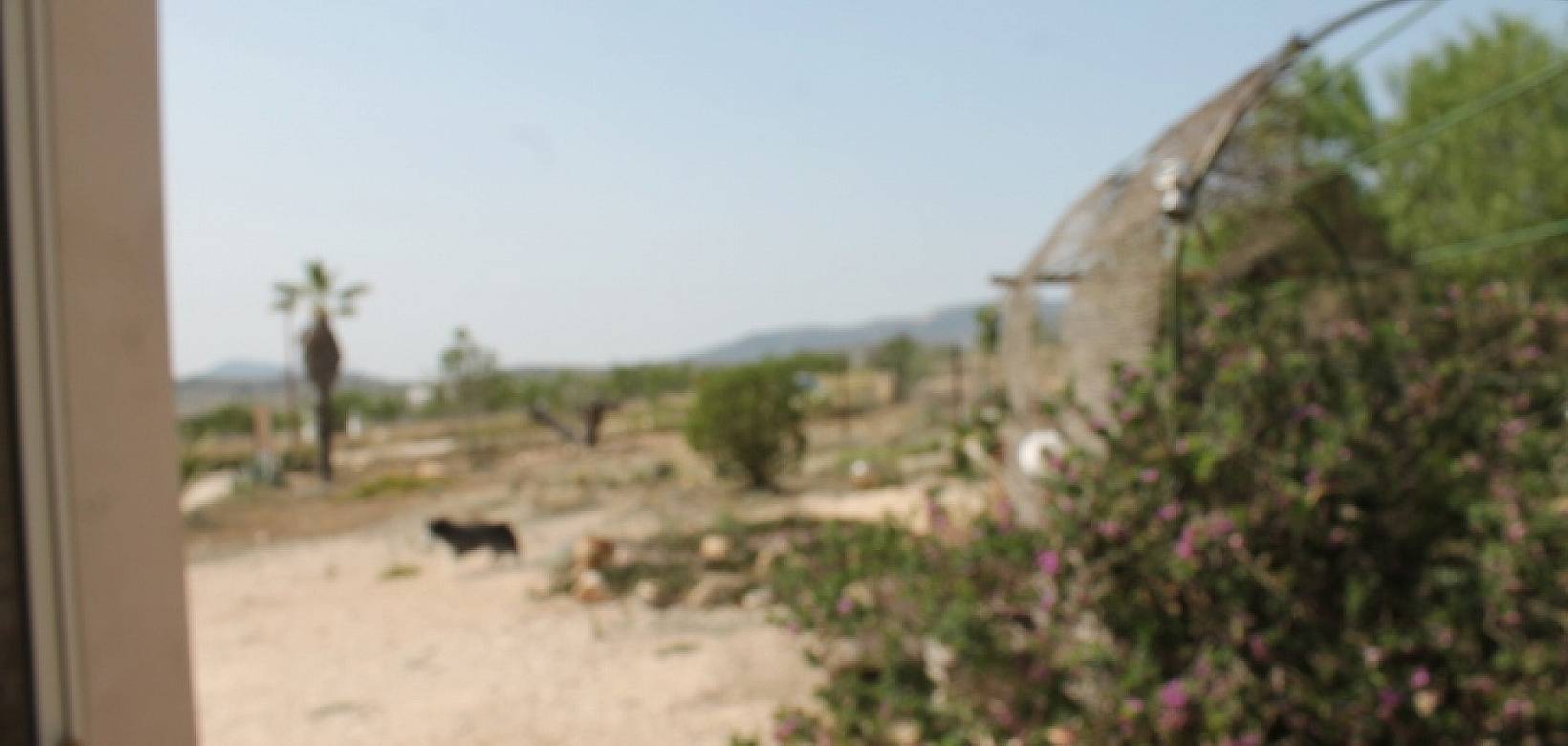 Wederverkoop - Finca - Pinoso - 