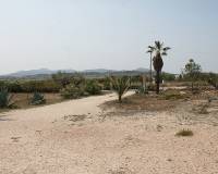 Wederverkoop - Finca - Pinoso - 