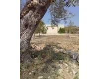 Wederverkoop - Finca - Pinoso - 