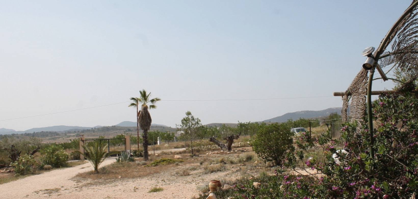 Wederverkoop - Finca - Pinoso - 