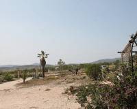 Wederverkoop - Finca - Pinoso - 