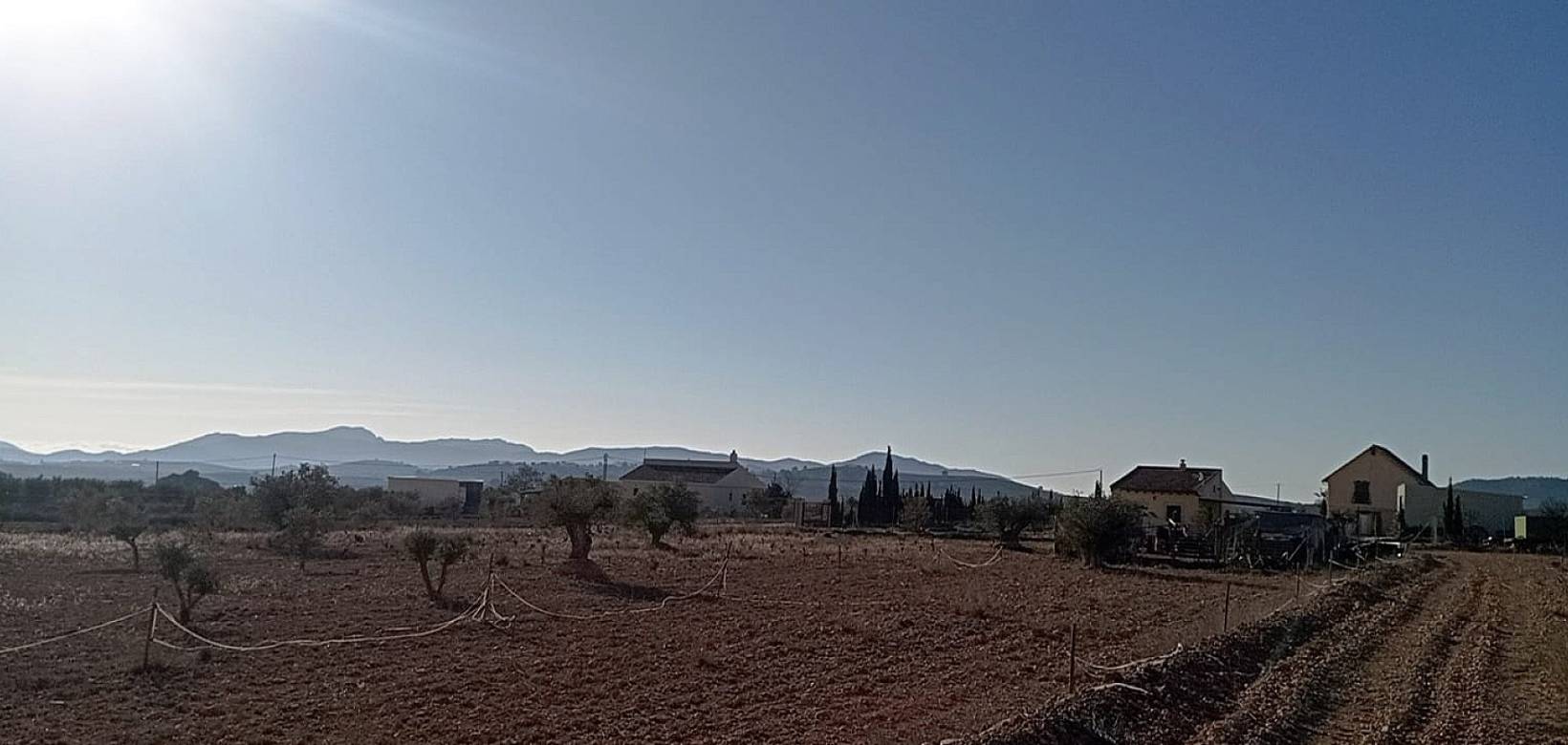 Wederverkoop - Finca - Pinoso - 