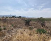 Wederverkoop - Finca - Torre del Rico - 