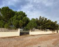 Wederverkoop - Finca - 