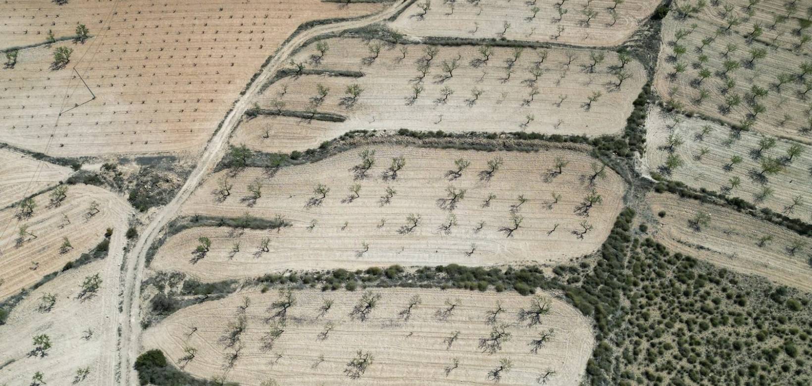 Wederverkoop - Grond - La Alberquila