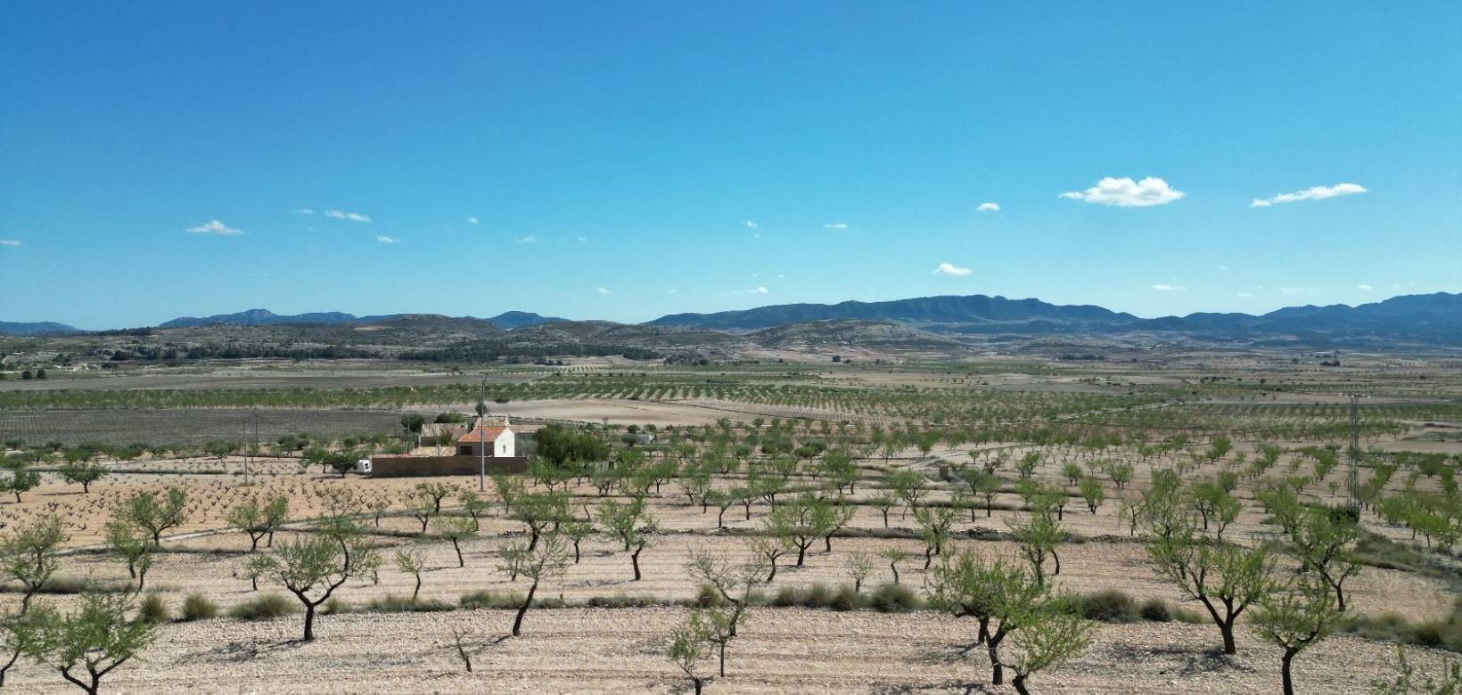 Wederverkoop - Grond - La Alberquila