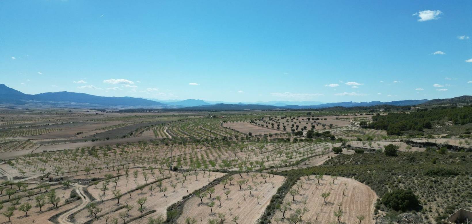 Wederverkoop - Grond - La Alberquila