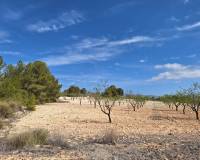 Wederverkoop - Grond - La Zarza