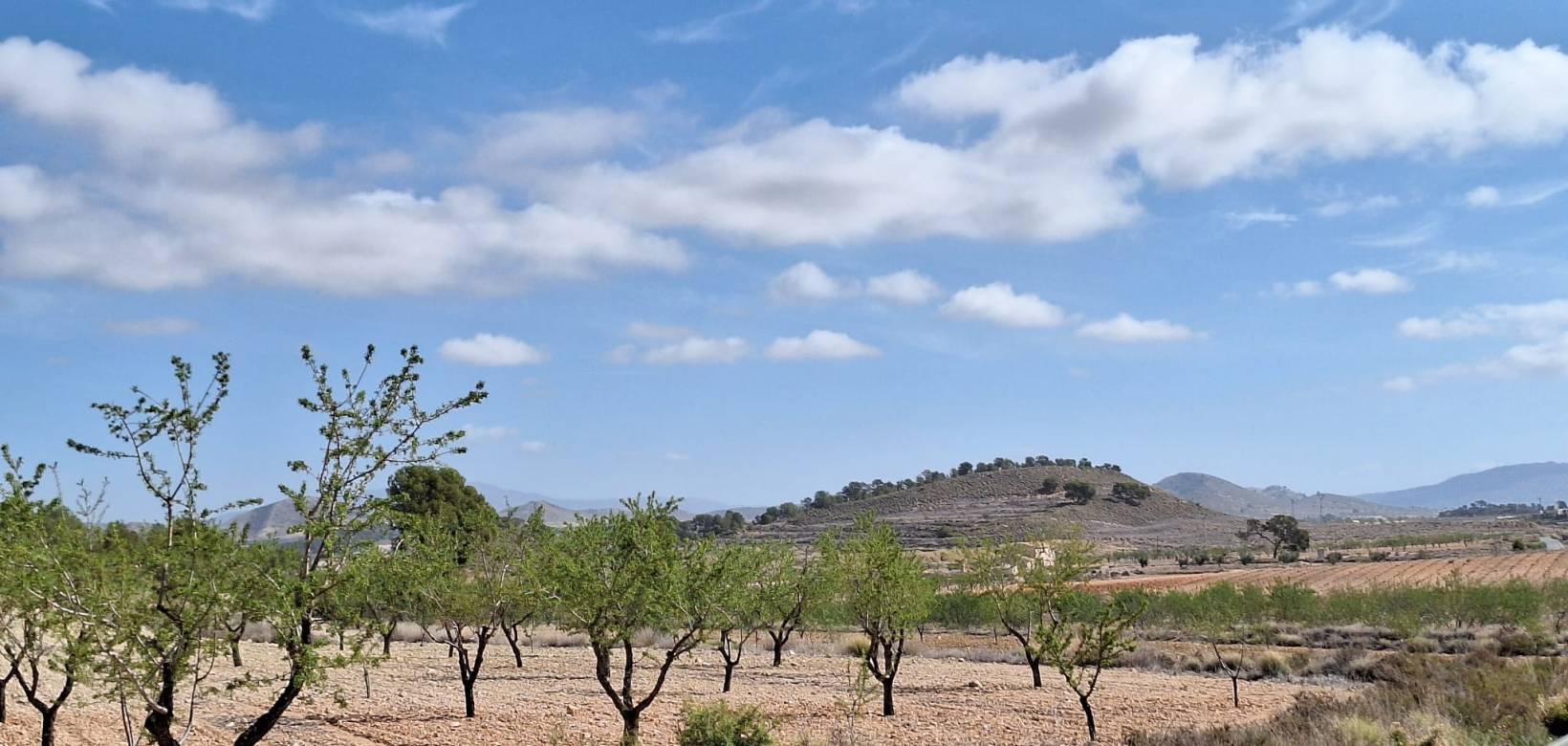 Wederverkoop - Grond - La Zarza
