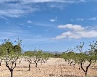 Wederverkoop - Grond - La Zarza