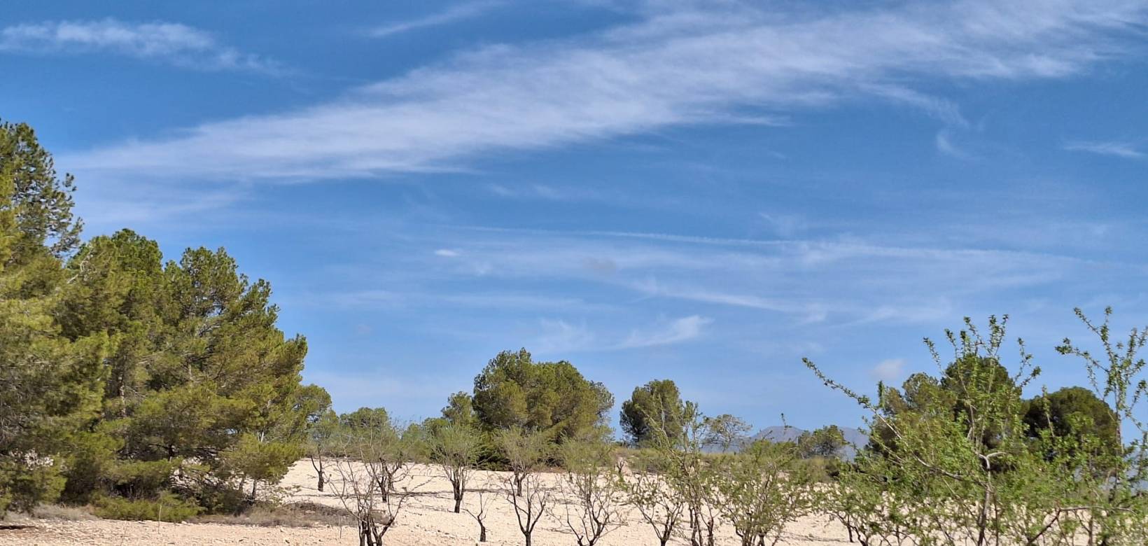 Wederverkoop - Grond - La Zarza