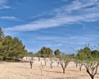 Wederverkoop - Grond - La Zarza