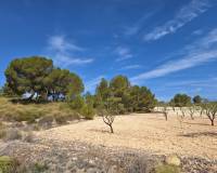 Wederverkoop - Grond - La Zarza