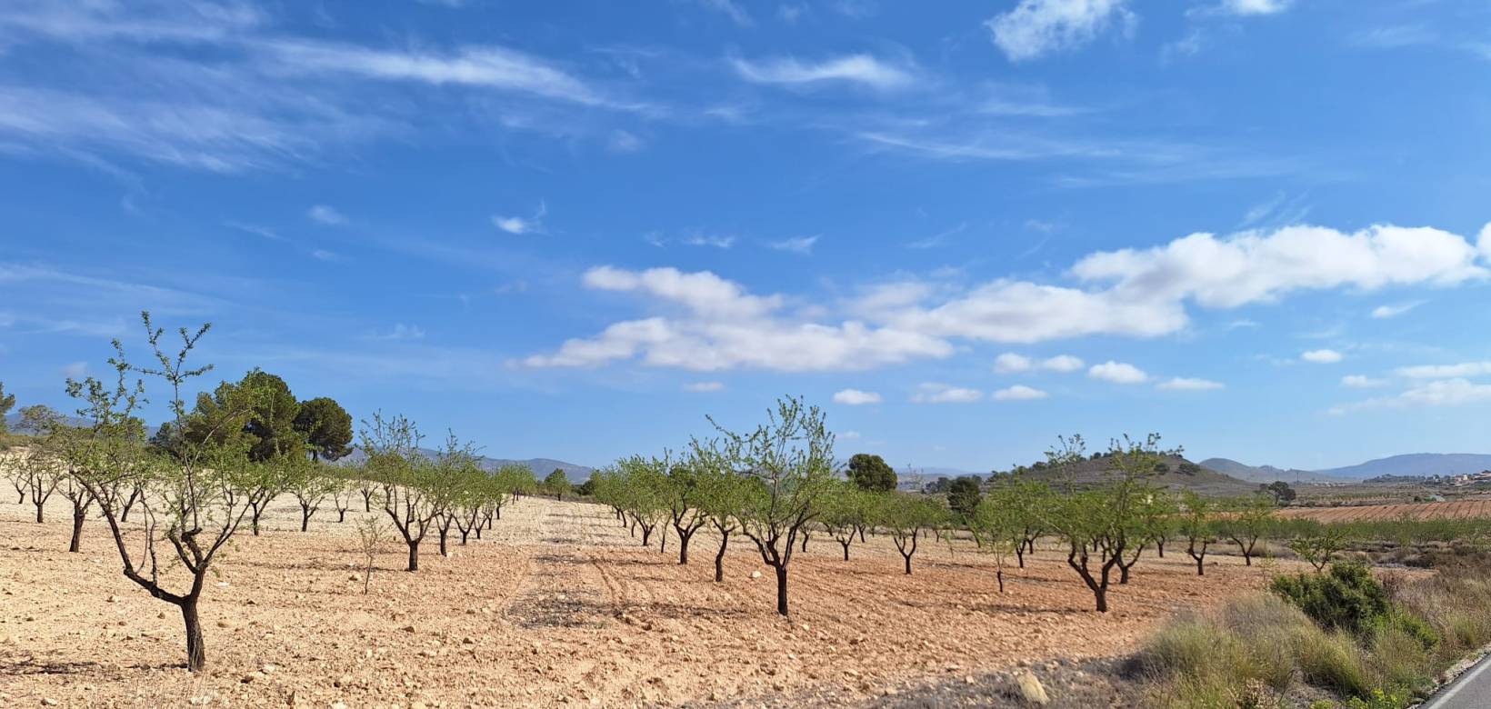 Wederverkoop - Grond - La Zarza