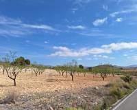 Wederverkoop - Grond - La Zarza