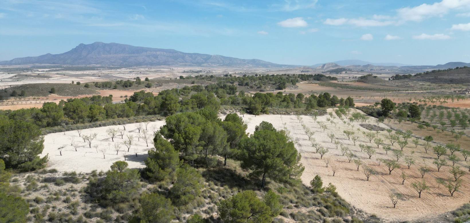 Wederverkoop - Grond - La Zarza