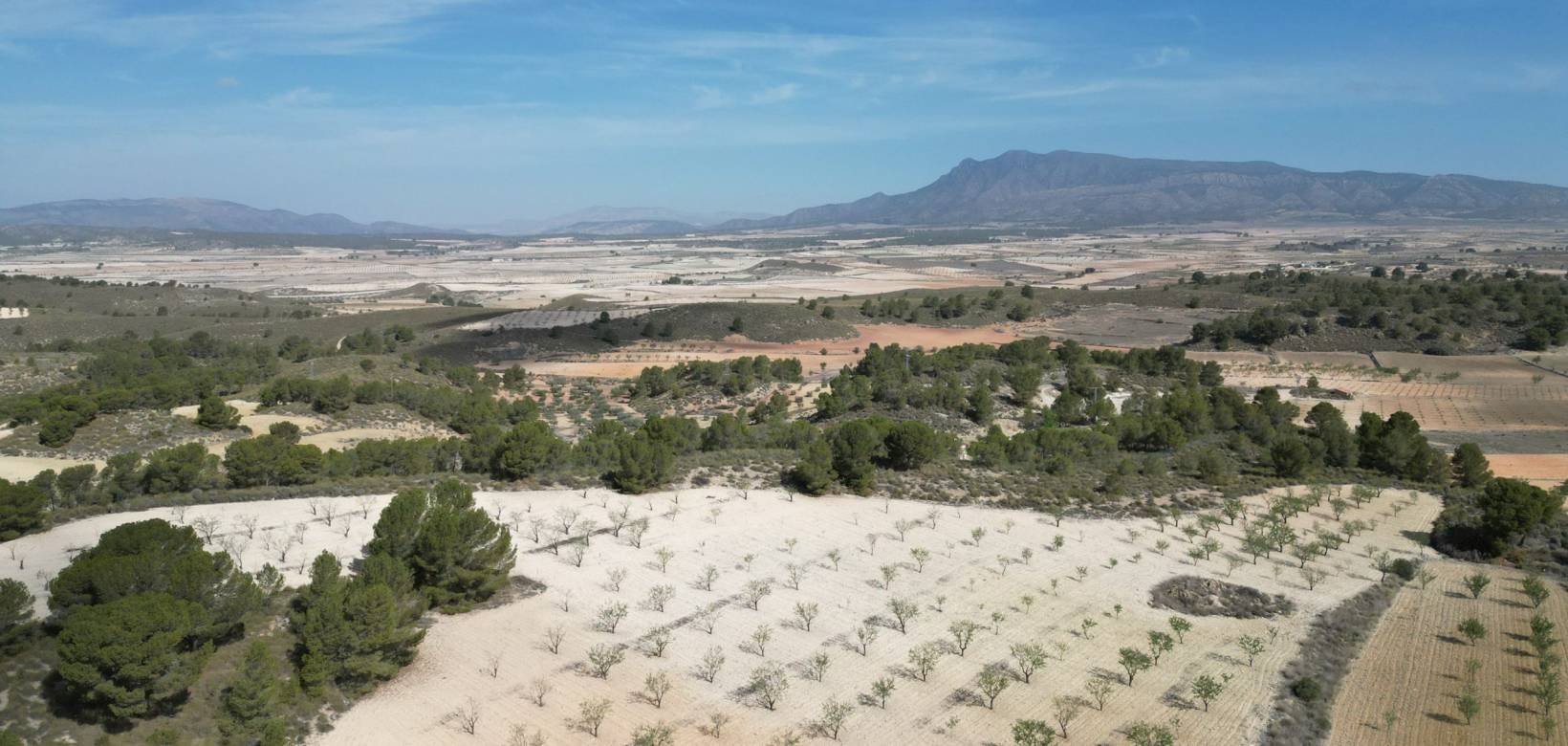 Wederverkoop - Grond - La Zarza