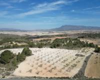 Wederverkoop - Grond - La Zarza