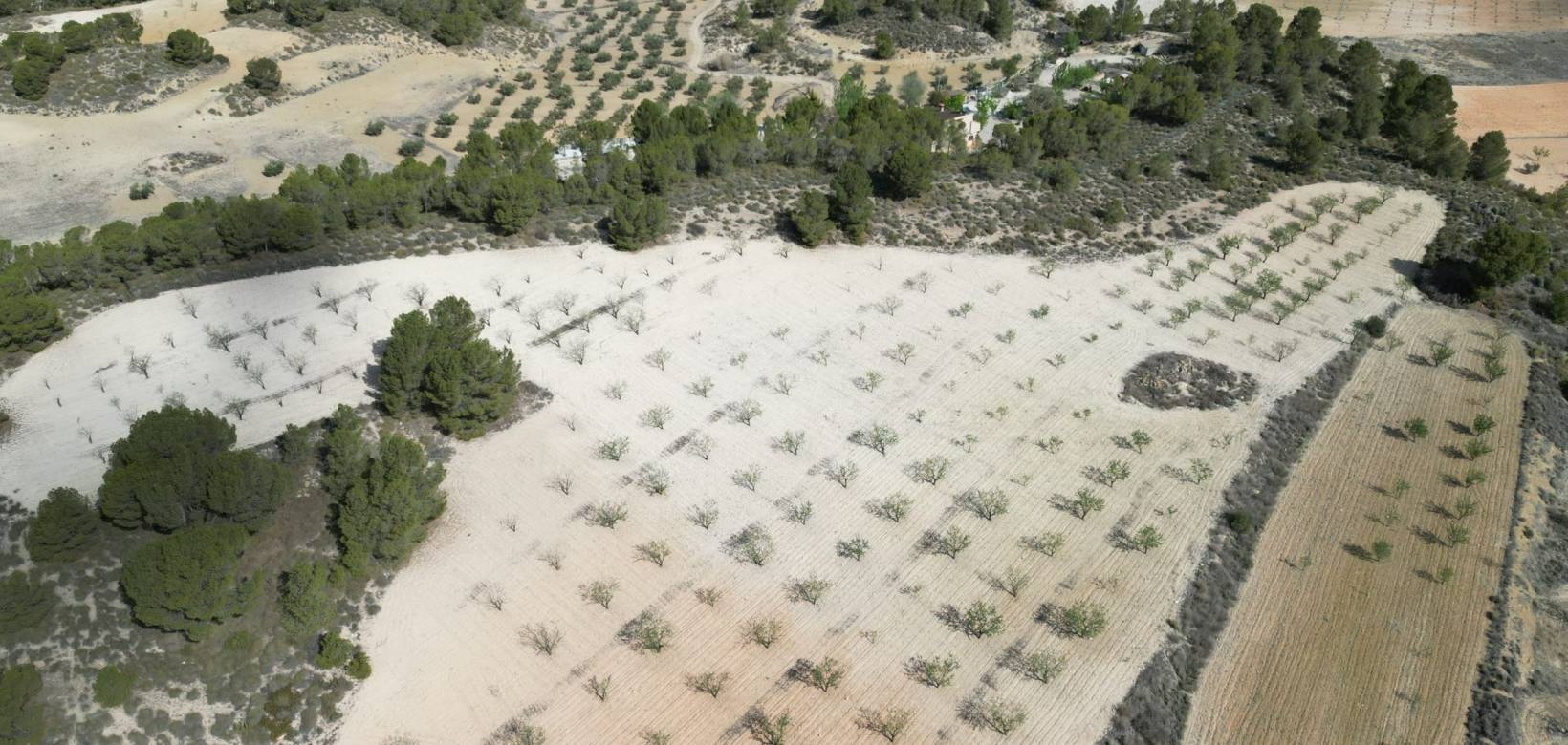 Wederverkoop - Grond - La Zarza