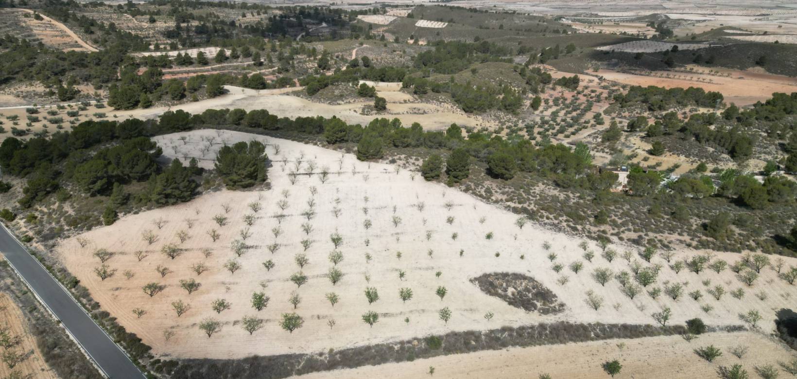 Wederverkoop - Grond - La Zarza