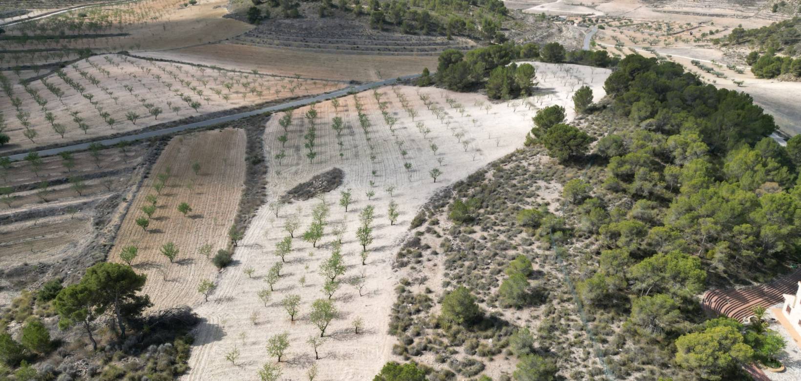 Wederverkoop - Grond - La Zarza